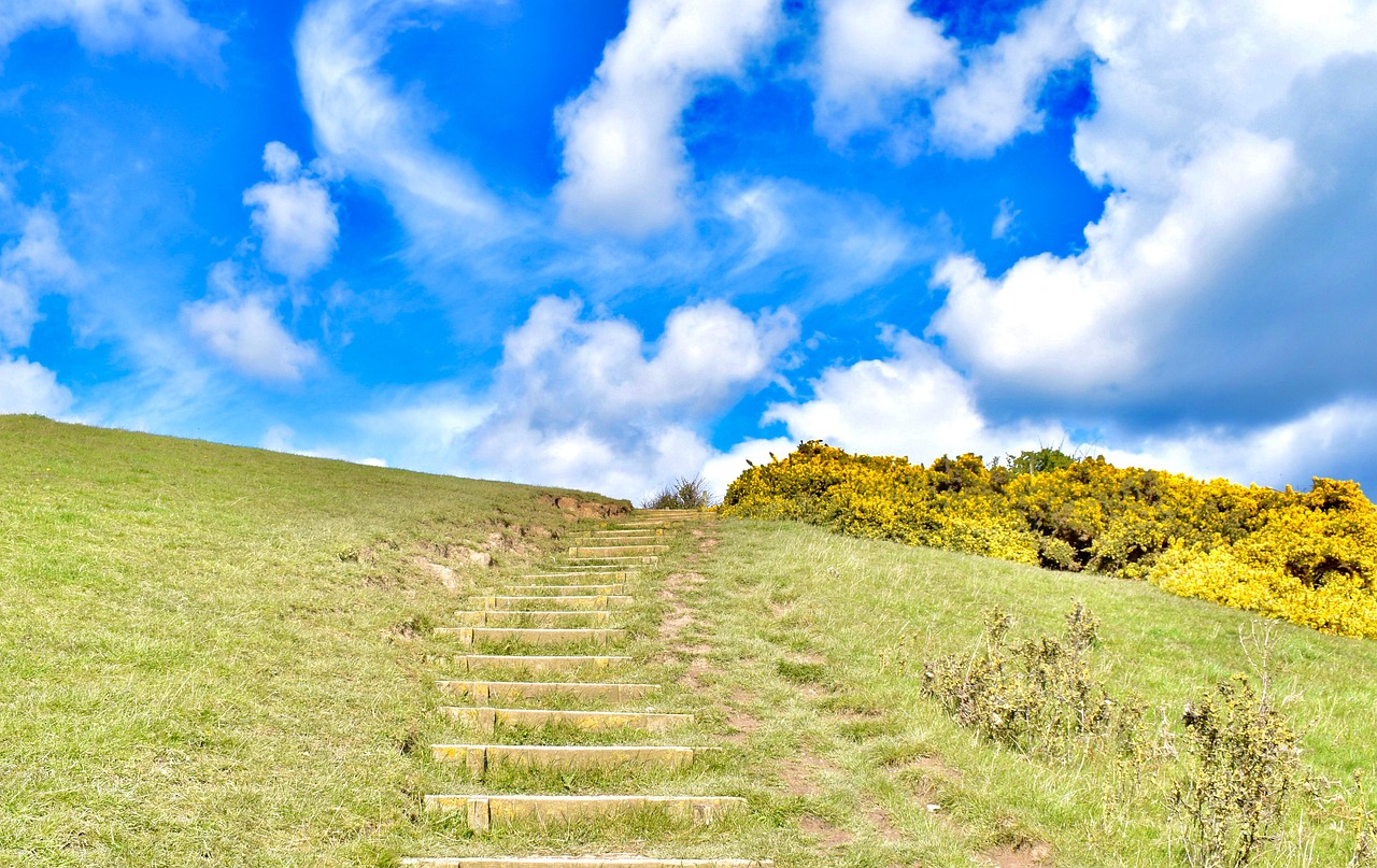 Pixabay Pixabay pixabay-pixabay