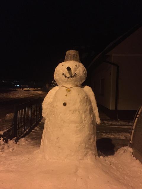 Free Snow Snowman photo and picture