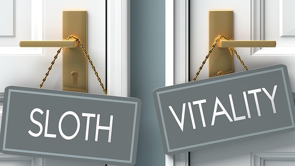 Faultier, Vitalität, Wahl, Auswahl