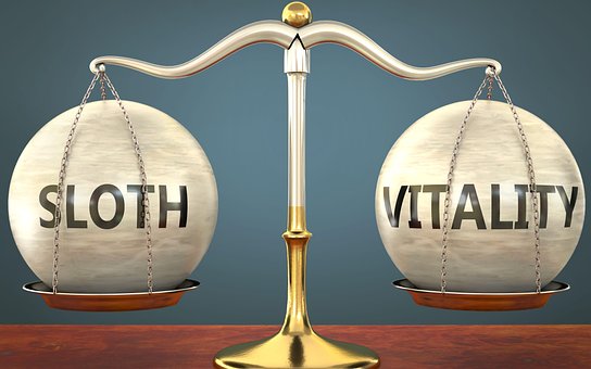 Faultier, Vitalität, Balance
