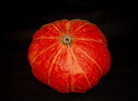 Dovleac, Pe Un Fundal Negru, Vegetal