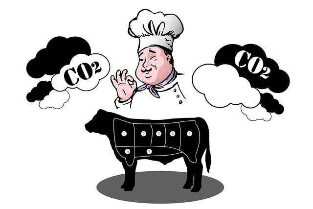 Free greenhouse gas carbon footprint co2 illustration