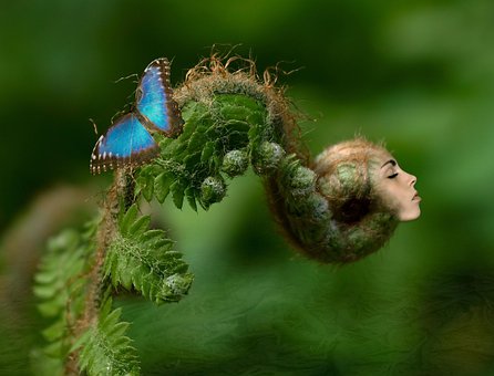 Blomst, Natur, Kvinde, Fotomontage