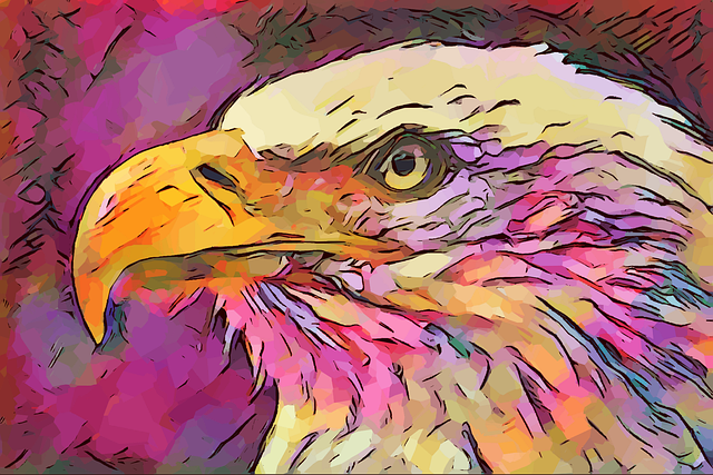 Free bald eagle bird artwork illustration