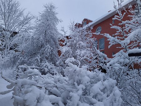 Free Winter Snow photo and picture