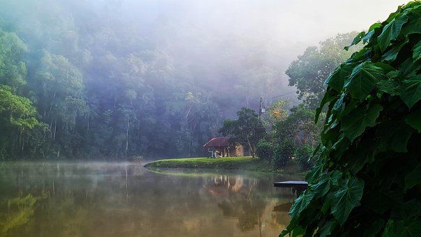 Free Lake Nature photo and picture