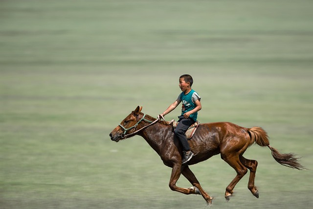 Free Boy Horse Riding photo and picture Free Boy Horse Riding photo and picture