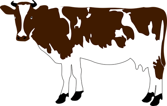 Vacă, Bovine, Fermă, Animal, Natura