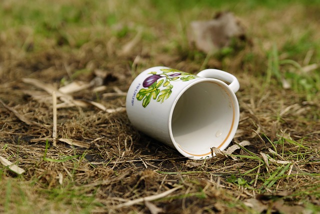 Free Cup Чашка photo and picture