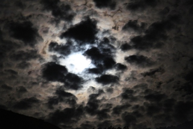 Free Night Moon photo and picture