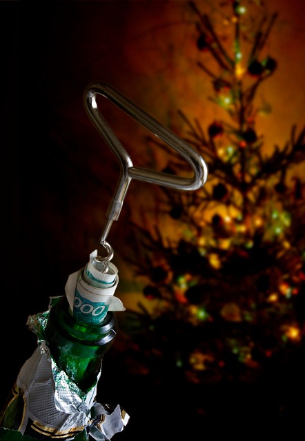 Free Celebrate Alcohol photo and picture