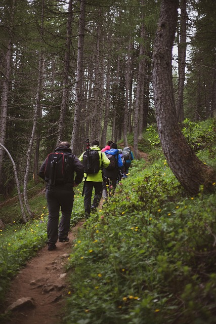 Free Mountains Walk photo and picture