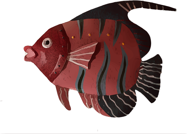 Free marine fish aquatic vector