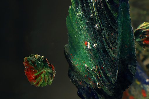 Arte, Material, Separação, Cor, Humor