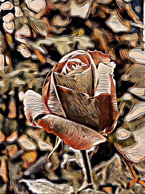 Roz, Flori, Epocă, Retro, Retro Vintage