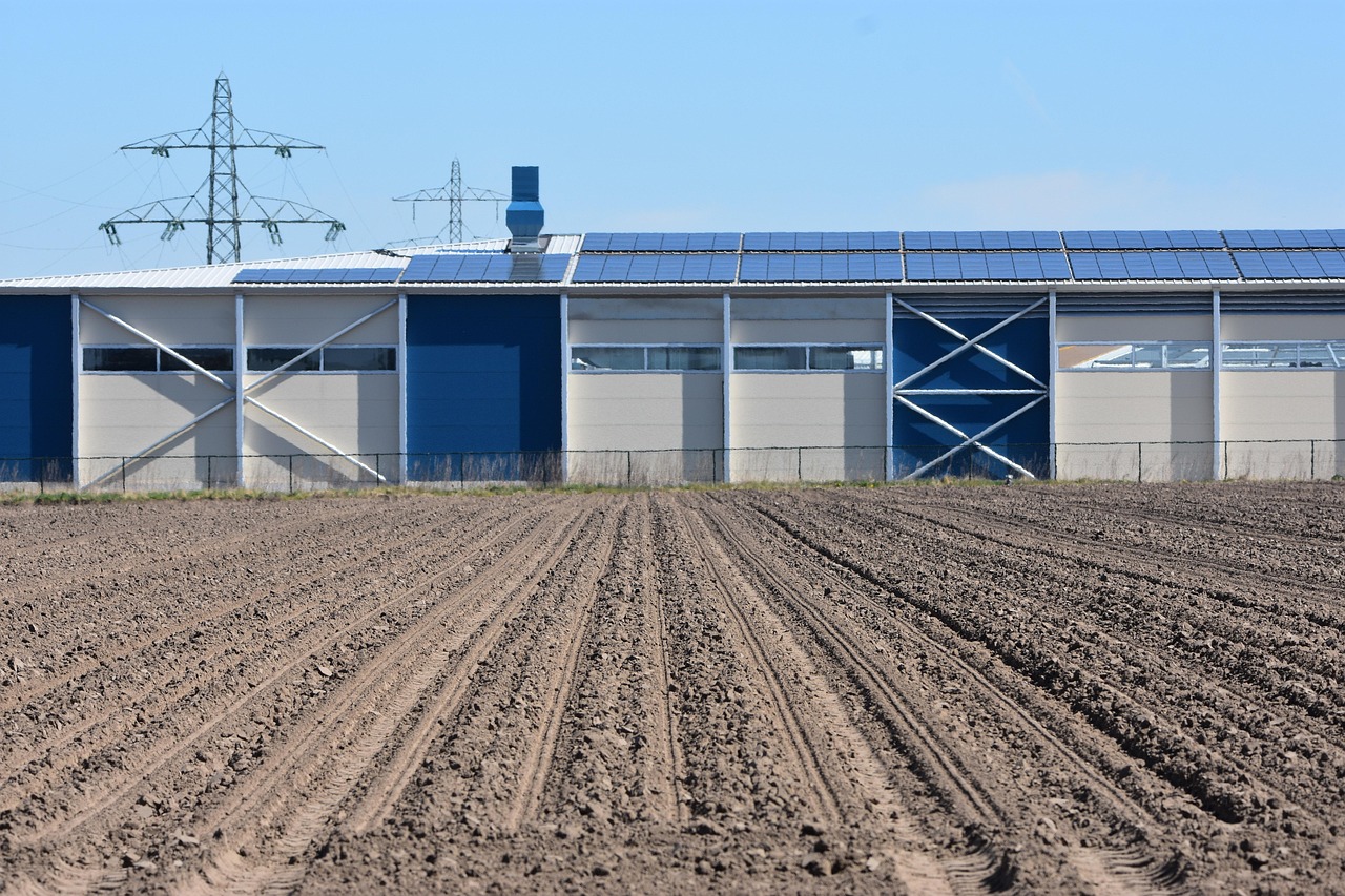 Agriculture - free online jigsaw puzzle photo