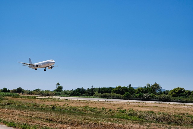 Free Landing Plane photo and picture