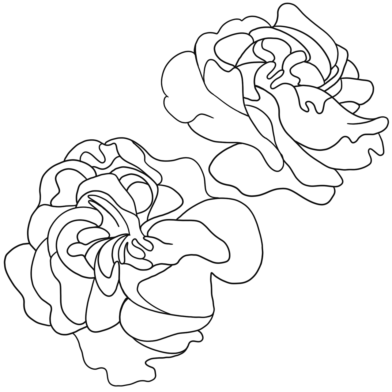 Download Line Art, Flowers, Flowering. RoyaltyFree Stock Illustration