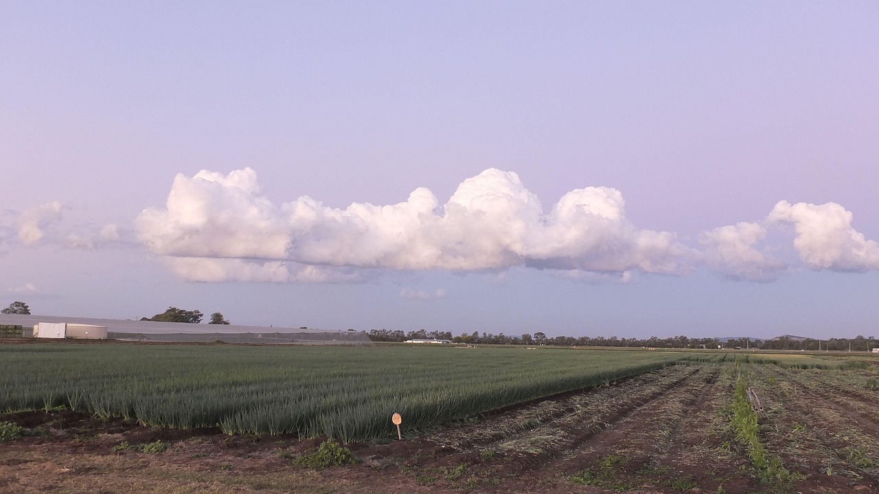 Spacious Field Farmland Row Of Clouds Lockyer - Free photo on Pixabay - Pixabay