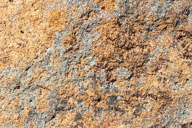 Free Wallpaper Stone photo and picture