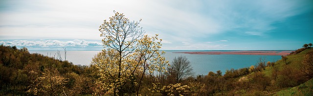Natur, Frühling, Lagune, See, Meer