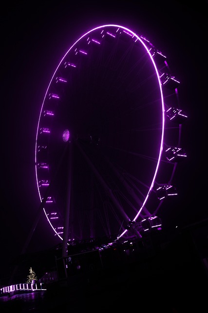 Free Ferris Wheel Purple photo and picture