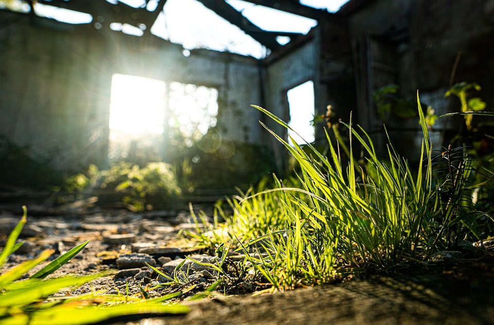 被遗弃的房子 破旧的建筑 废墟 - Pixabay上的免费照片 - Pixabay
