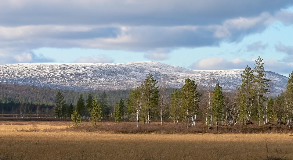 Top Affordable Student Housing Options in Finland