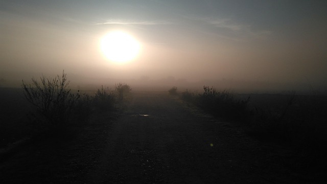Free Landscape Darling photo and picture