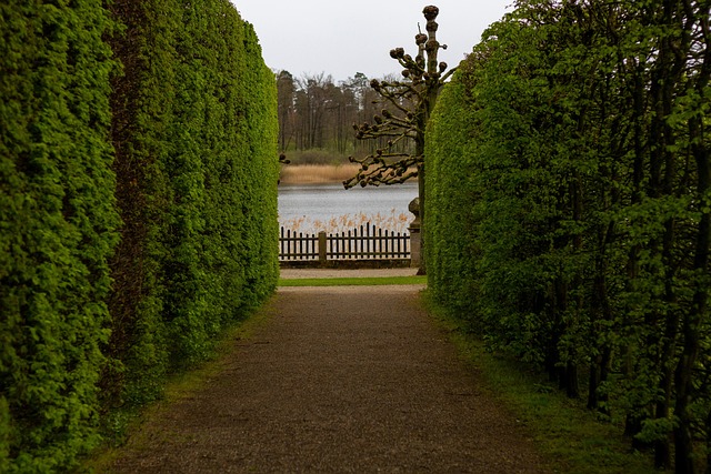Have, Natur, Gyde, Hegn, Gårdhave