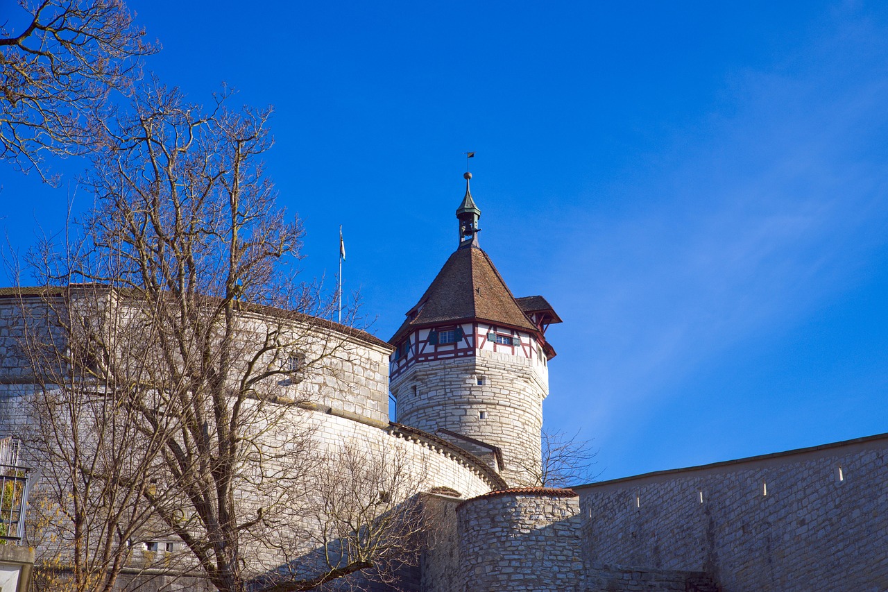 Fortress - free online jigsaw puzzle photo