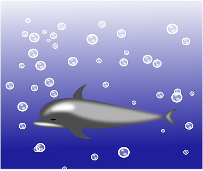 Delfin, Poze, Animale, Arte Grafice