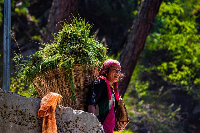 Free Women Worker photo and picture