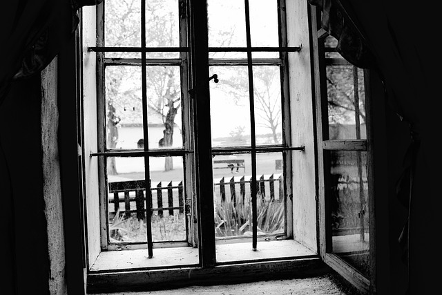 Free Window Classic photo and picture