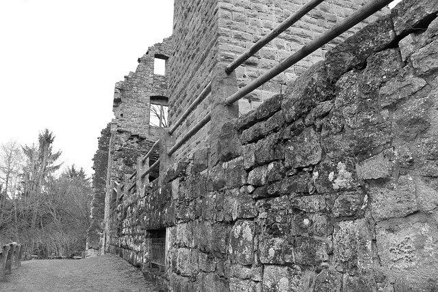 Free Black-And-White Castle photo and picture