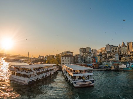 Turquia, Galata, Istambul, Gaivota