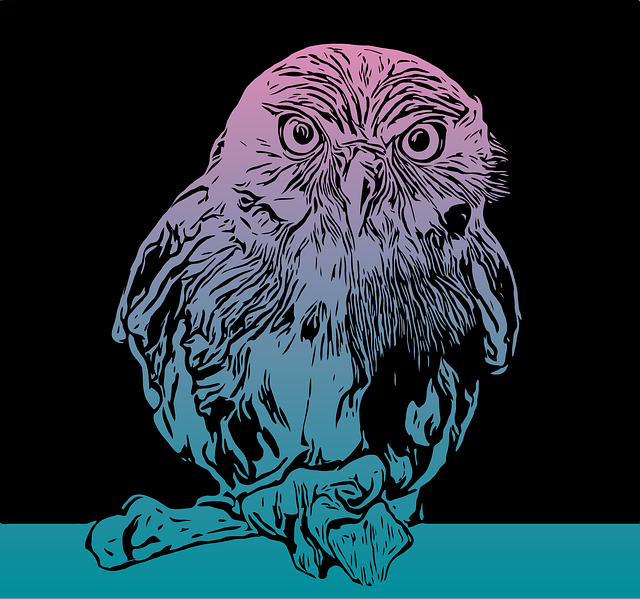 Download free HD stock image of Bird Drawing Free bird drawing owl vector