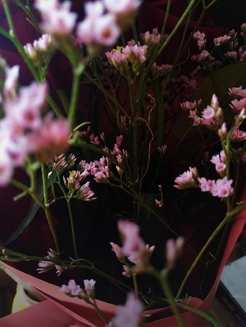 Flores, Ramo De Flores, Sensibilidad