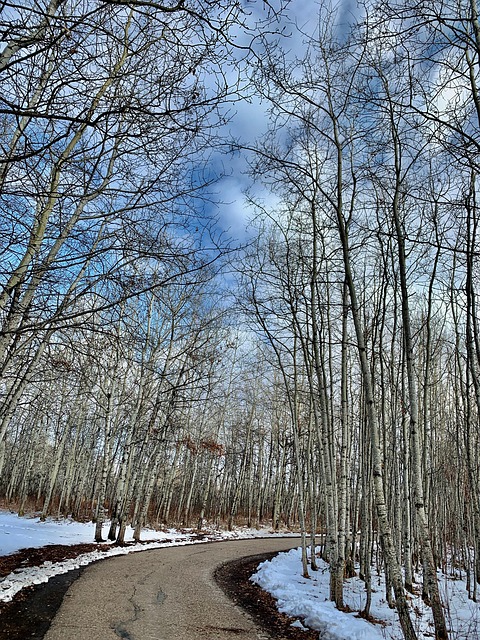 Free Spring Nature photo and picture
