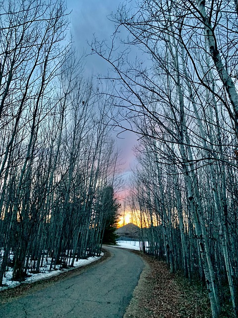 Free Sunset Colours Walking photo and picture