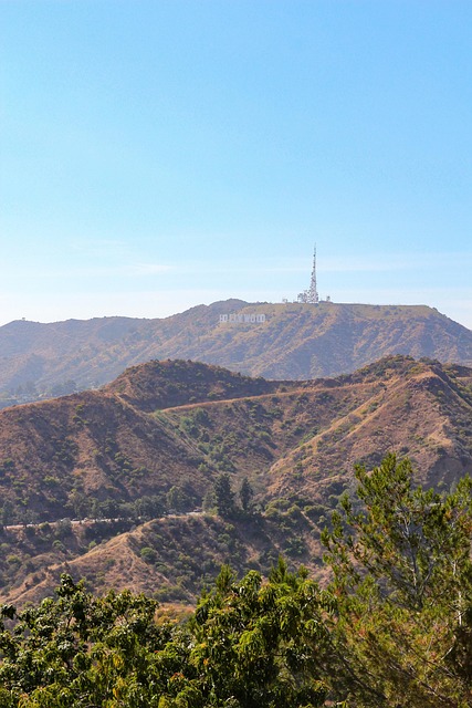 Los Angeles, Statele Unite Ale Americii