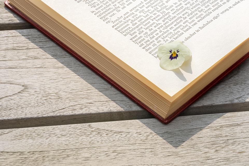 Read Book Table - Free photo on Pixabay