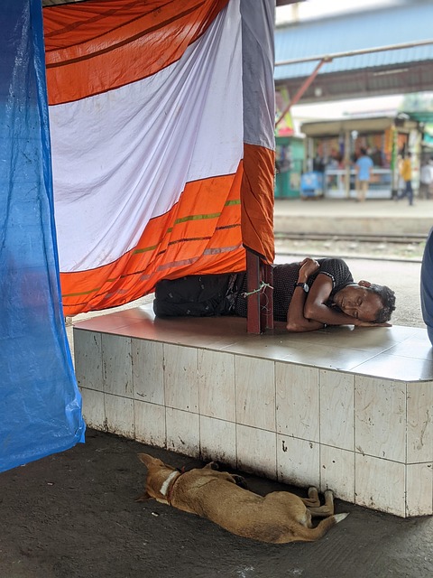 Hjemløs, Bangladesh, Hund, Landskab