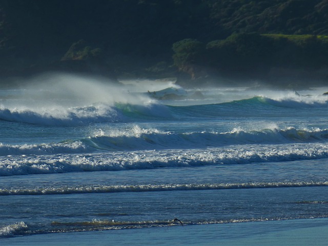 Wellen, Wind, Surfen