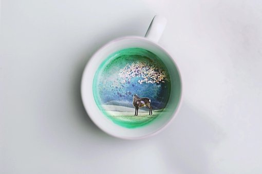 Free Drink Coffee photo and picture