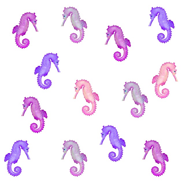 Free seahorse horse nature illustration