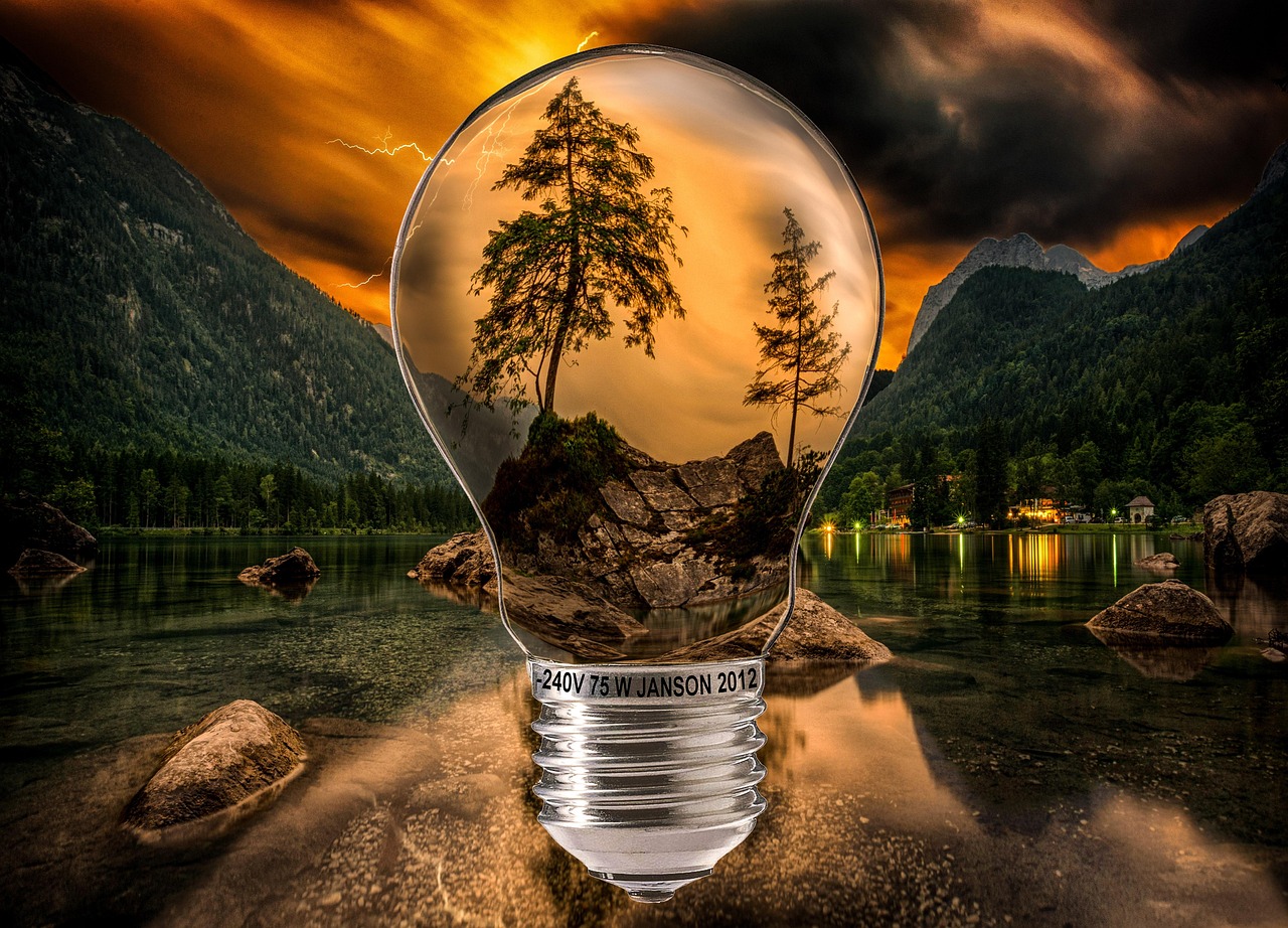 Nature In A Light Bulb Wallpaper