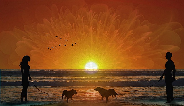 Free couple sunset waves illustration