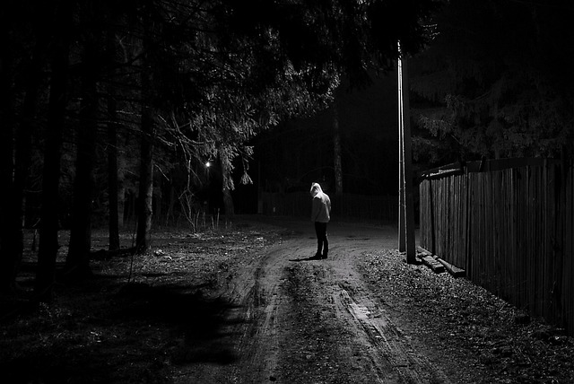 Free Street Night photo and picture