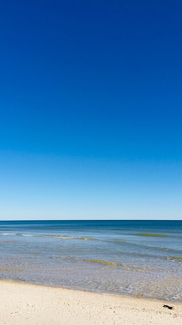 Free Gulf Of Mexico Ocean photo and picture